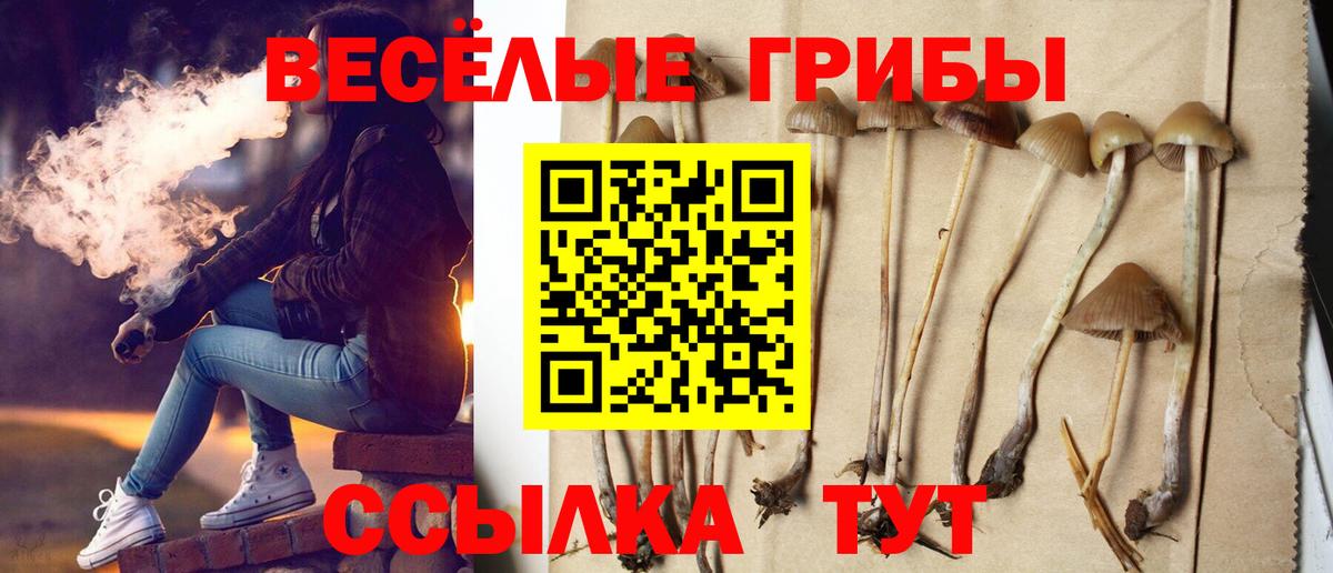 Галлюциногенные грибы MAGIC MUSHROOMS Зеленогорск